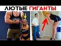 55 ЛЮТЫХ ГИГАНТОВ, КОТОРЫЕ НИКУДА НЕ ПОМЕЩАЮТСЯ!