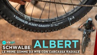 TEST - Schwalbe Albert tires: the first with a radial casing screenshot 5