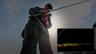 Berkley Finisher Cadence for Suspended Walleyes