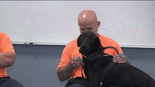 New K-9 training program helping to reduce chance of reoffending