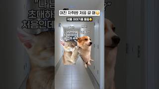 여친 자취방 처음 갈 때 특징ㅋㅋ