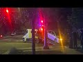 car versus tree