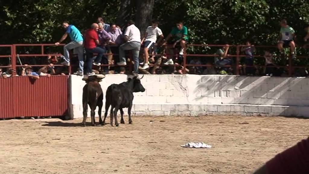 Villaverde de Guadalimar. Fiestas 2014. Segundo encierro.