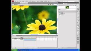 ADOBE FLASH 3D TUTORIAL