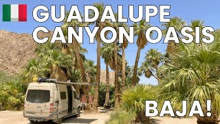 Oasis Hot Spring in Baja! (Ep. 23)