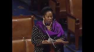 Congresswoman Jackson Lee speaks in support of National Defense Authorization Act for FY2016