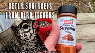 Deter and minimize squirrels at your bird feeders