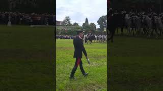 Sfilata del 4°Rgt Carabinieri a cavallo a Pastrengo (Vr)