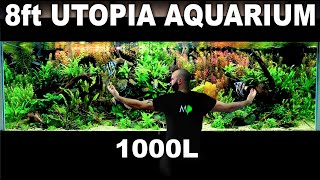 The 8Ft Utopia Aquarium Epic 1000L Build Over 300 Fish Aquascape Tutorial