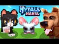 Hytale Manía - PERRO, GATO Y RATÓN 