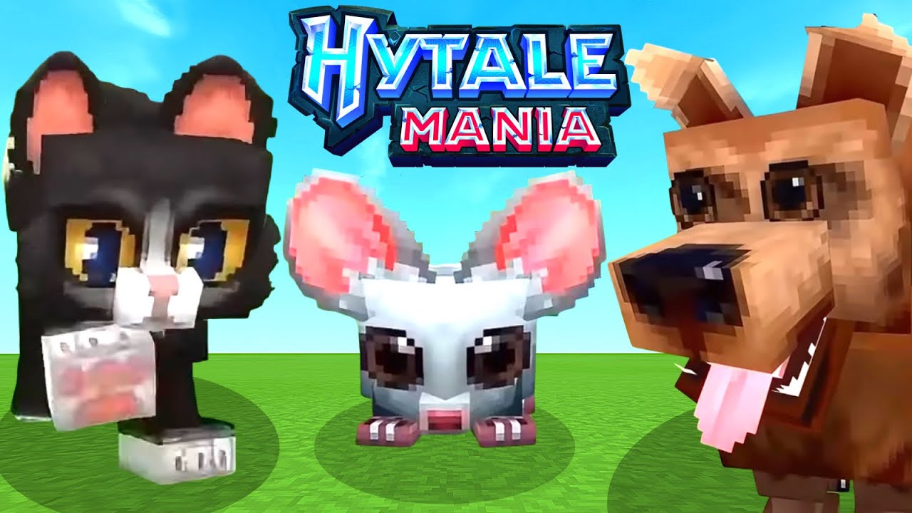 Hytale Manía - PERRO, GATO Y RATÓN 