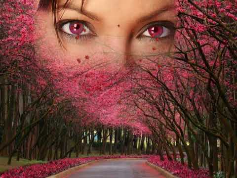 حالات واتس عبد الحليم ياعنيه ياقلبي جري ايه