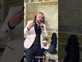الفنان محمد كاكلو دل دلي من و تيا رقص كردي