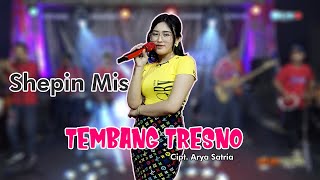 Shepin Misa - Tembang Tresno 