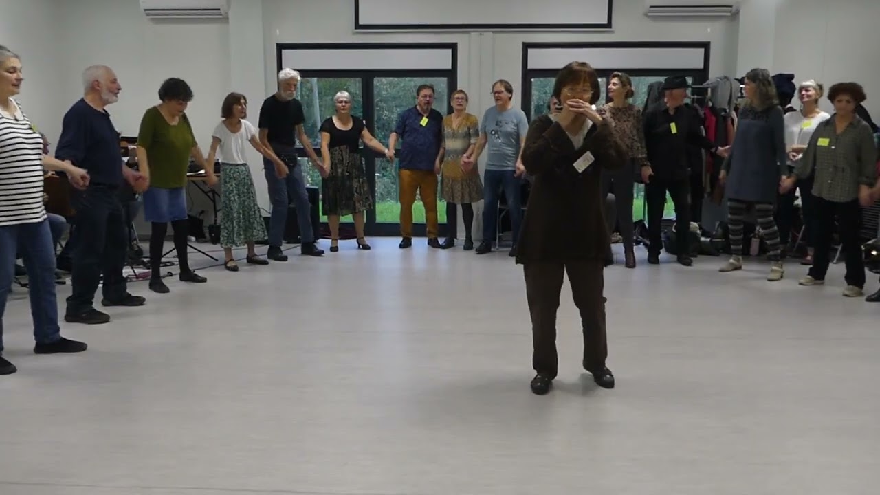 Lucien Dauzet danses trad Milly Mieu chan Branle du Parlement Harmonica