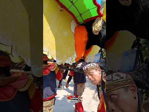 sound horeg Ngarak..miantur salon  runda putra Azah muda #singa barong #saoundhoreg