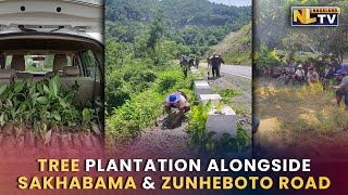SAJE GROUP UNDER SAKHABAMA VILLAGE ORGANISES 3RD TREE PLANTATION DRIVE