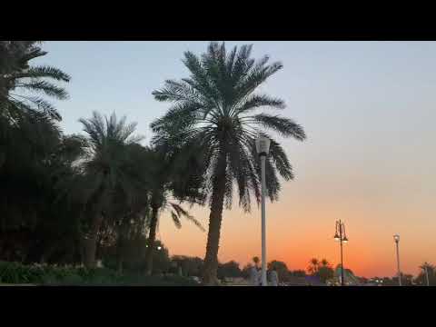 حديقة الجاهلي العين