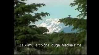 Tajga.wmv
