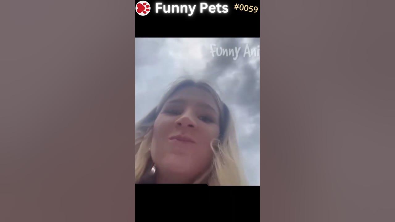 funny-pets-ep-59-shorts-youtube