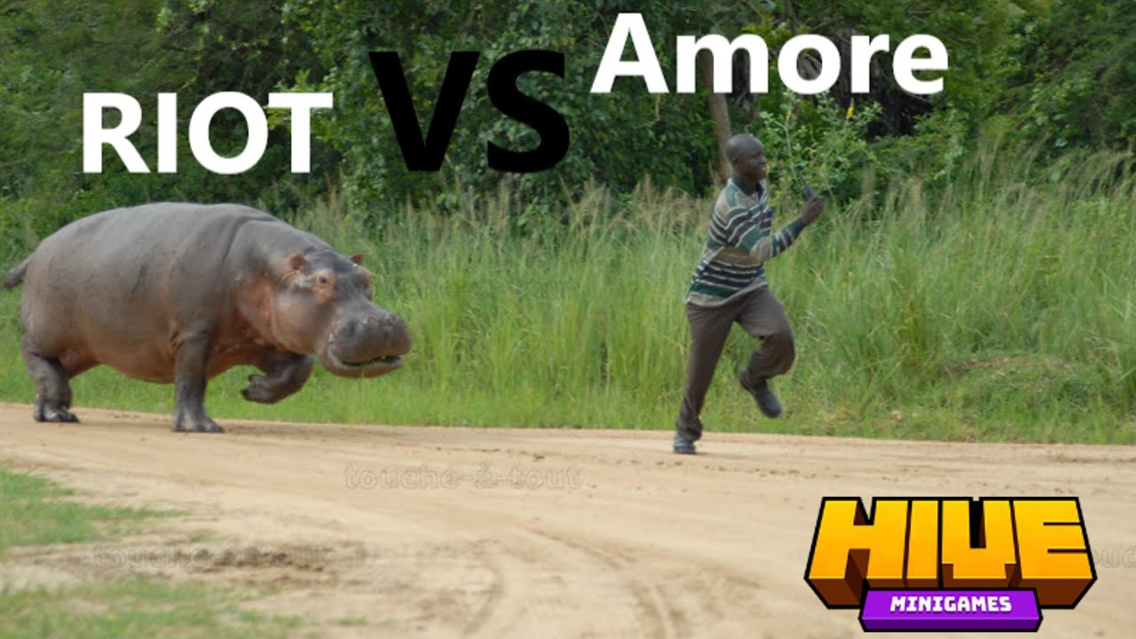 RIOT Vs Amore YouTube