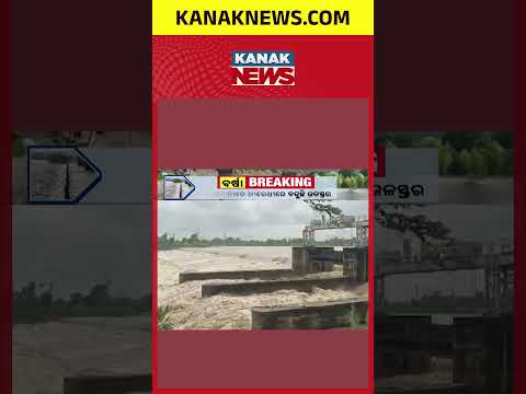 ପୁଣି ଫୁଲିଲାଣି ବୈତରଣୀ | Baitarani Swells Again! Fresh Flood Fear Grips Jajpur And Bhadrak In Odisha