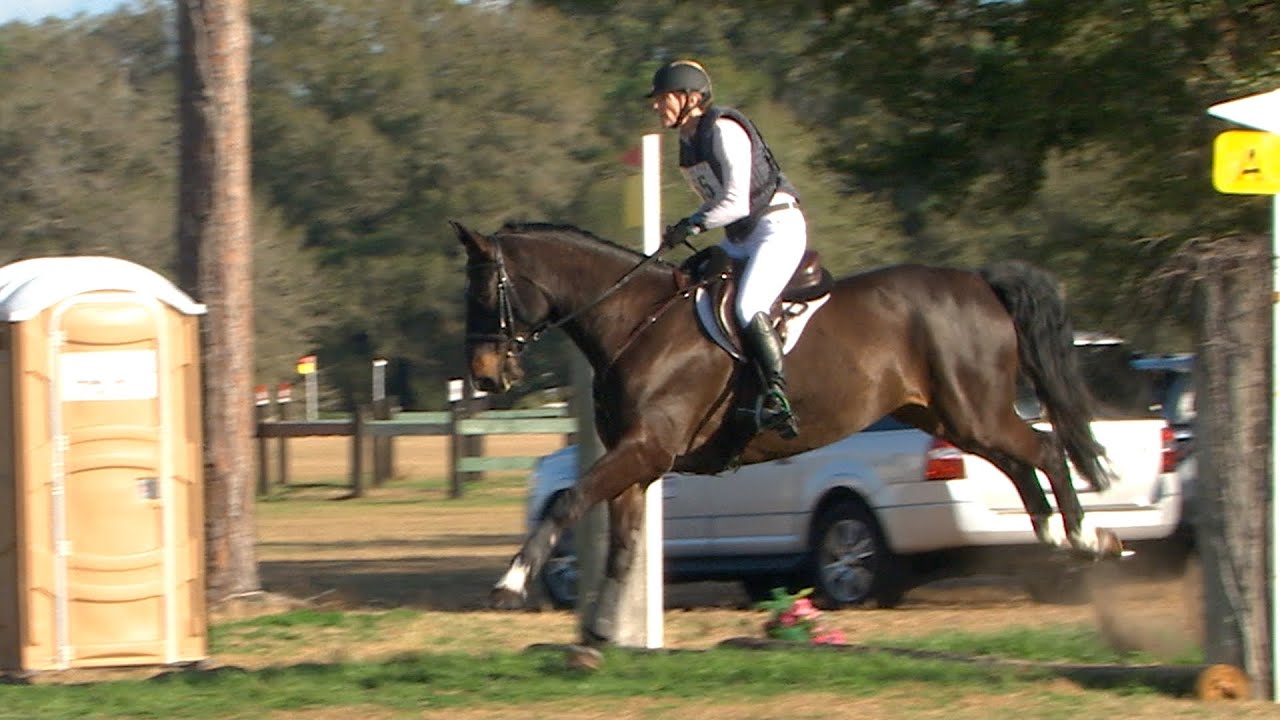 Cynthia Cole "Sir Galahad" Ocala Horse Trials (BNR) 2/13/2022 YouTube