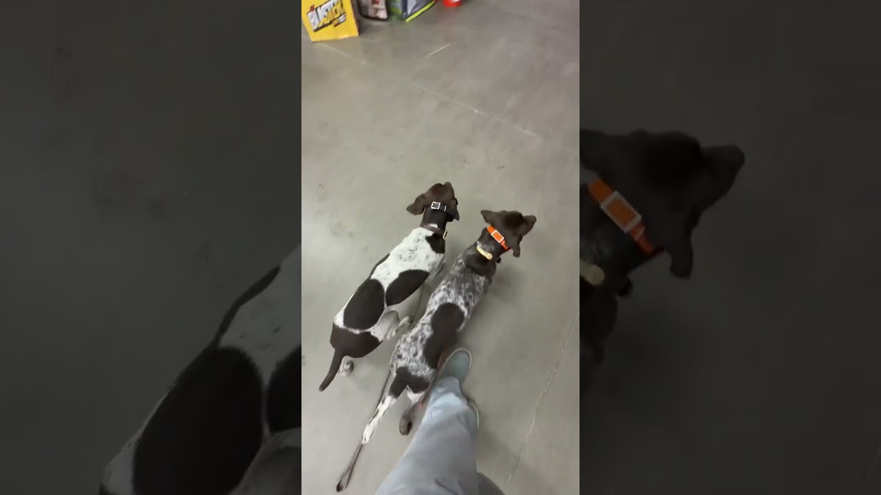 Сегодня снова на тренировке в Home Depot.