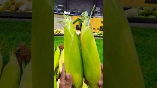 Wawa that's very fresh 🌽 corn 🌽🌽😋🌽😋 #theothersideofmakebelieve