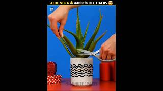 Aloe Vere सबसे काम के Life Hacks 🤯 | जो तुम्हारे बहुत काम आएगे || #shots