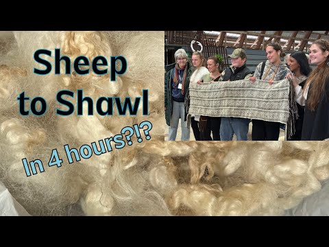 Sheep to Shawl: In 4 hours? Check out this competition #fleece #handspinner #fiber