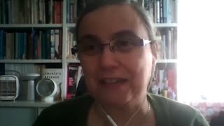Investigating the gut microbiome in epilepsy