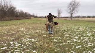 Trying out the DAK9 litter