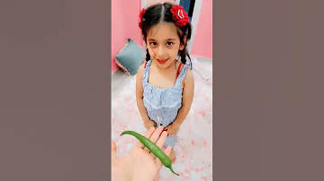 البنات ربحوا كوكتيل بس ليليان لا ليش 