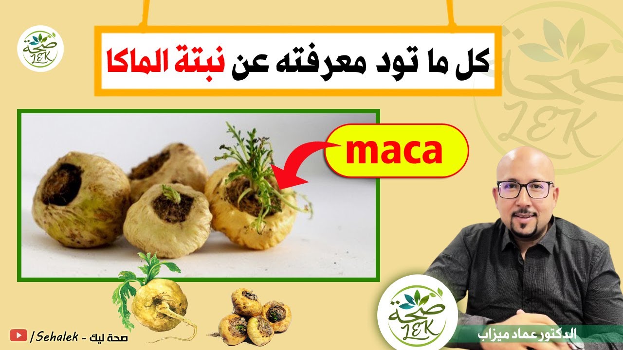 كل ما تود معرفته عن نبتة الماكا (MACA) / docteur imad mizab - YouTube