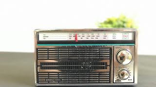 RADIO FM INTERNATIONAL CR4250, NOSTALGIA GADGET JADOEL