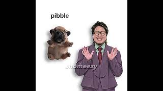 hai yorokonde, but its pibble (wash my belly) #pibble #はいよろこんで #foryou #fyp #haiyorokonde