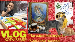 VLOG: Пасхальная неделя. Коты везде! Настольная игра крестики -нолики