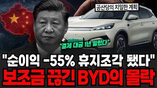 "보조금 끊기자 순이익 반토막 났다" -55% 휴지조각 된 중국 전기차 BYD의 굴욕 [이슈임당]
