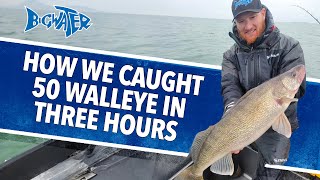 How We Caught 50 Walleye In Three Hours!  Last Hurrah For Lake Erie Walleye in 2023