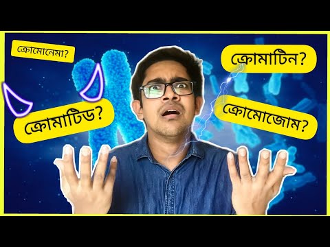 ভিডিও: গ্যামেটে কেন হ্যাপ্লয়েড সংখ্যার ক্রোমোজোম থাকে?