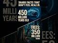 Shark Facts That Don't Feel Real!😱