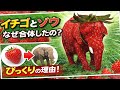 【衝撃】ストロベリーエレファントは、なぜ生まれたのか?完全考察!【イタリアンブレインロット】