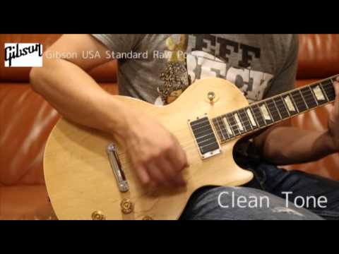 Gibson USA Standard Raw Power