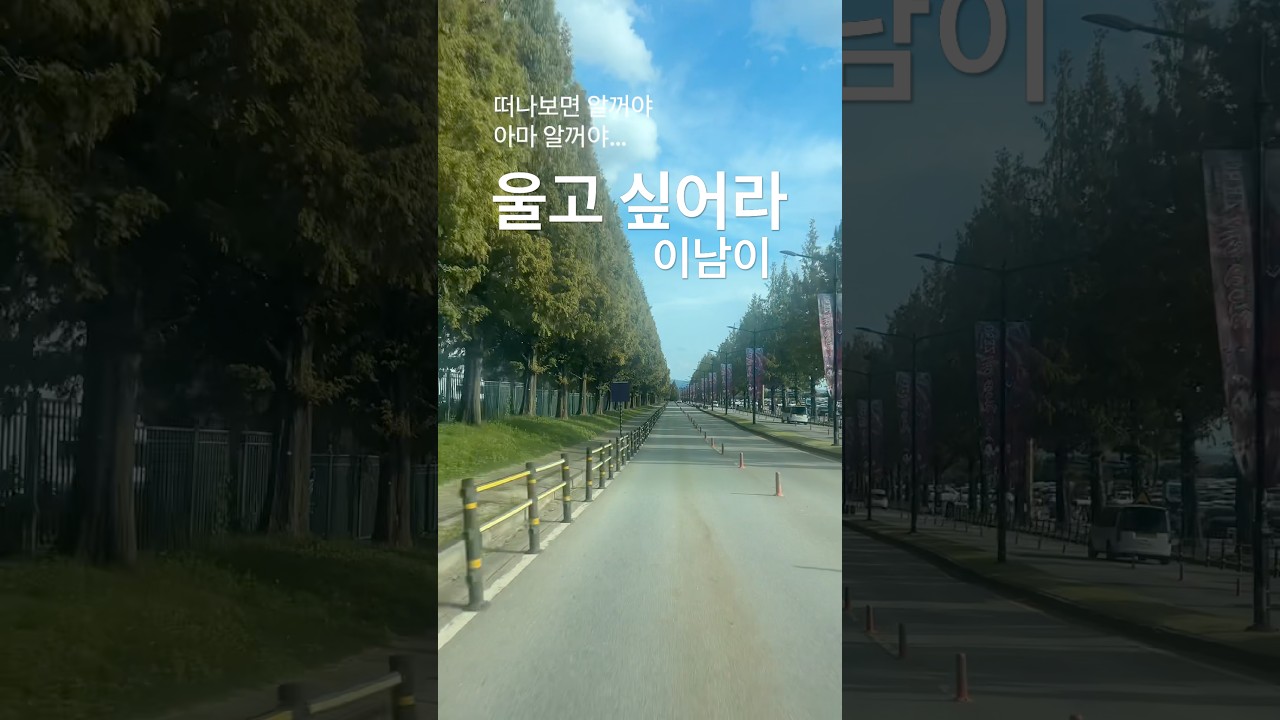 떠나보면 알게 되는 것들 | 울고 싶어라 🚗🌿 #shorts