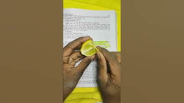 Highlighter VS lemon 🍋 #shorts