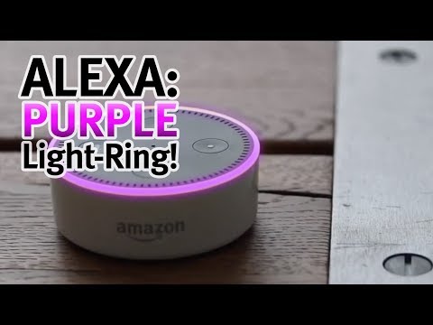 What does purple on Alexa mean?
