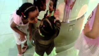 VID 20110915 00142