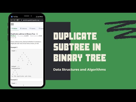Duplicate Subtree in Binary Tree (GeeksForGeeks)
