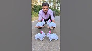 Ek Sat Fourth Rc Rabbit Unboxing |